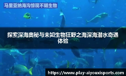 爱游戏ayx官网